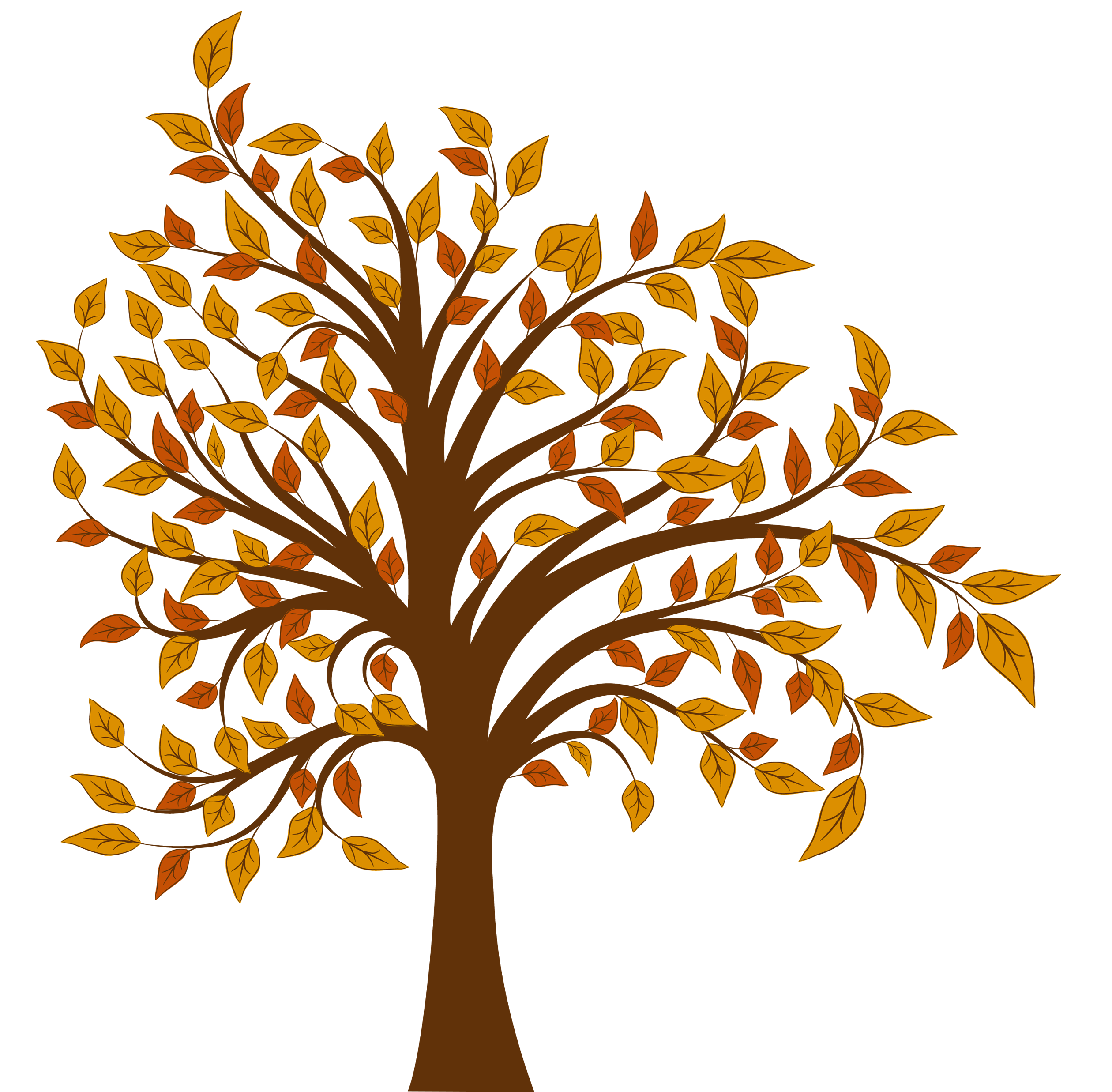 Fall tree png.