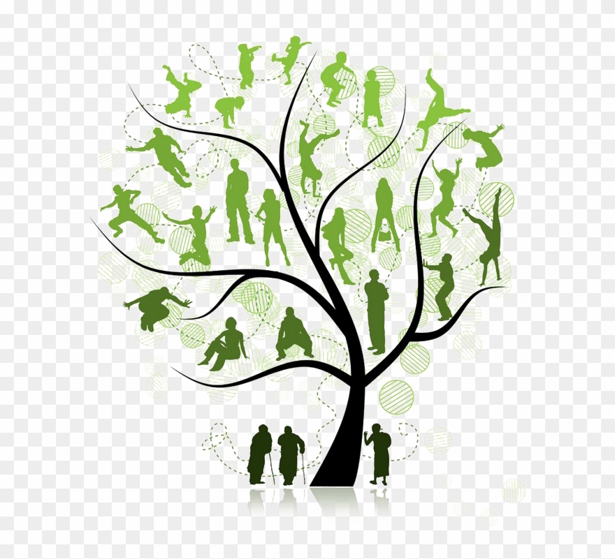 Family Tree Png Pic