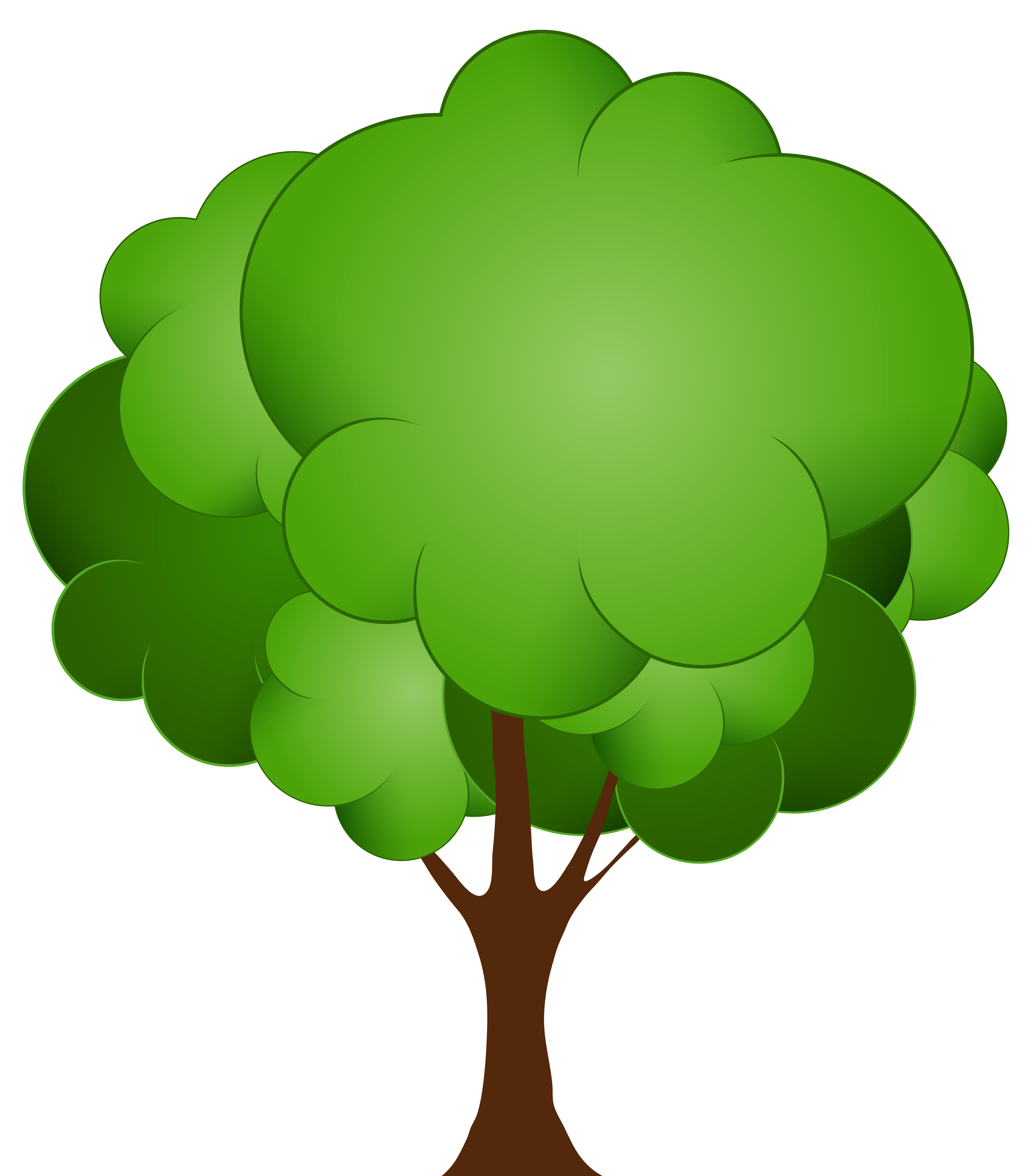 Green tree png.
