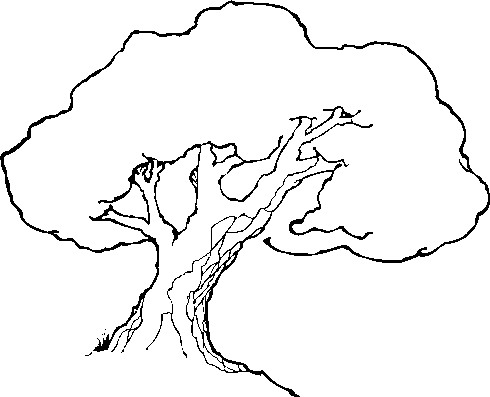 Tree Line Drawing Clip Art