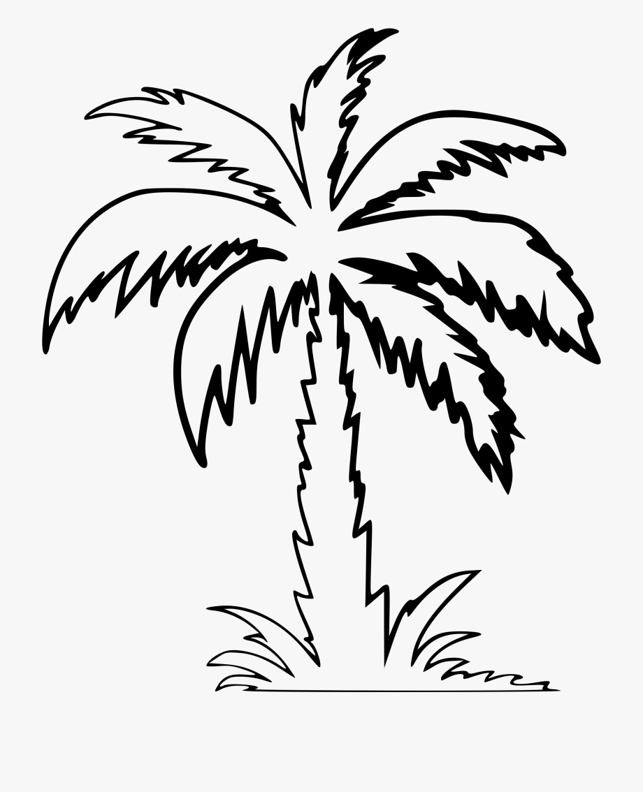 Clipart palm tree.