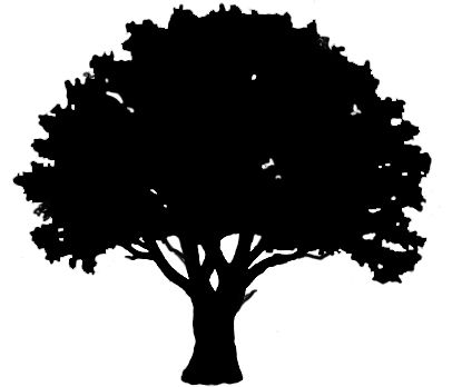 Free download Oak Tree Outline Clipart for your creation