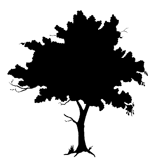 Free Free Tree Silhouette, Download Free Clip Art, Free Clip