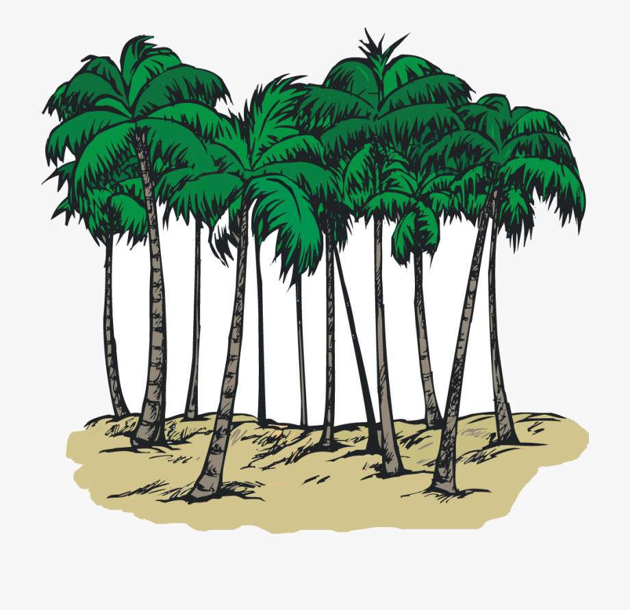 Group palm trees.