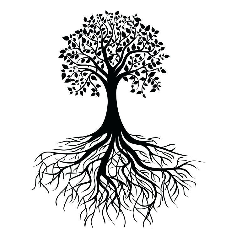 Tree of life clipart ideas about tree roots tattoo on
