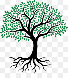 tree of life clipart transparent background
