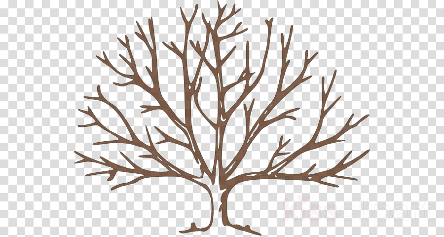Tree Trunk Drawing clipart