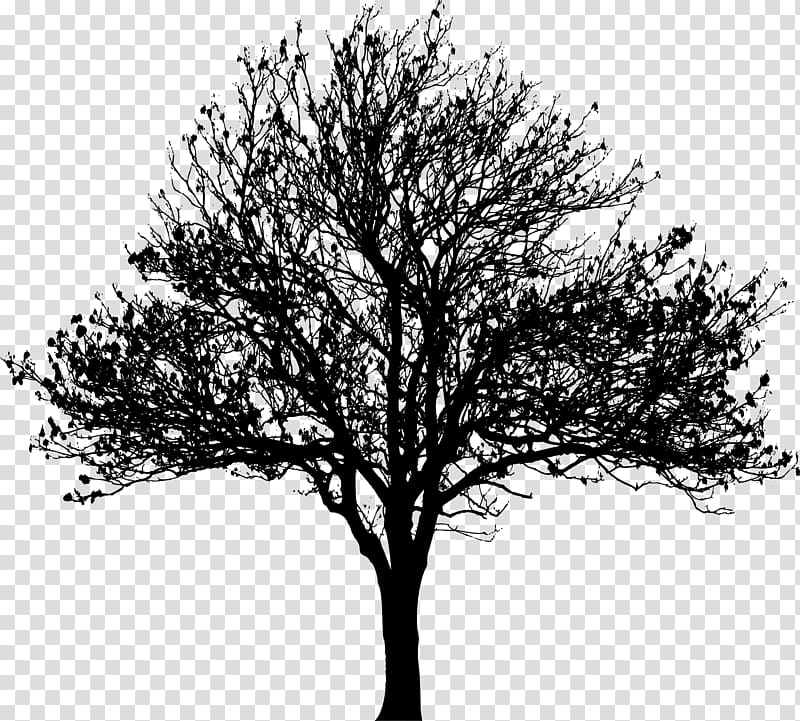 Tree Silhouette Drawing , love tree transparent background