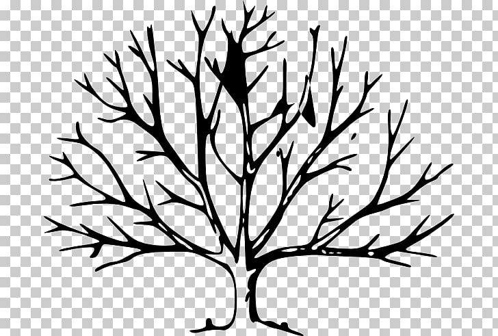 Tree leaf trunk.