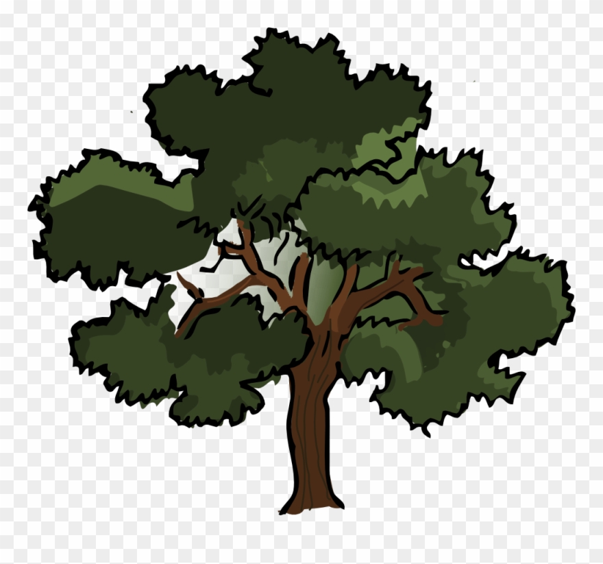 Oak tree vector.