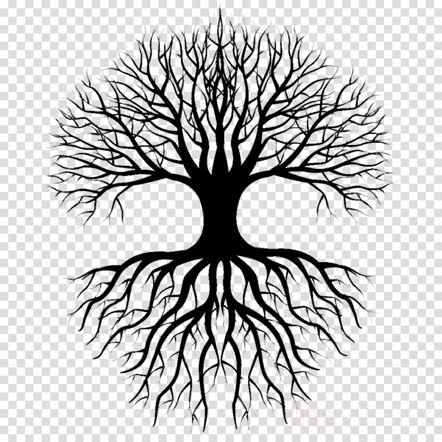 Tree Trunk Drawing clipart