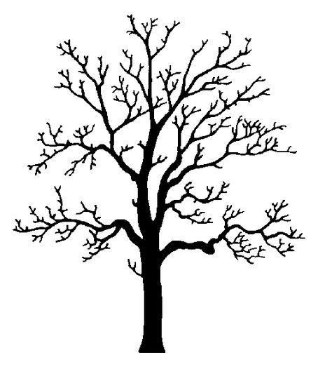 Perfecttreedrawing oak tree.