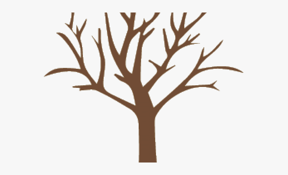 Trunk Clipart Long Tree