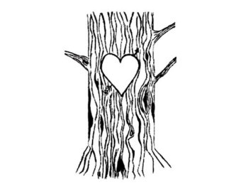 Tree trunk clipart.