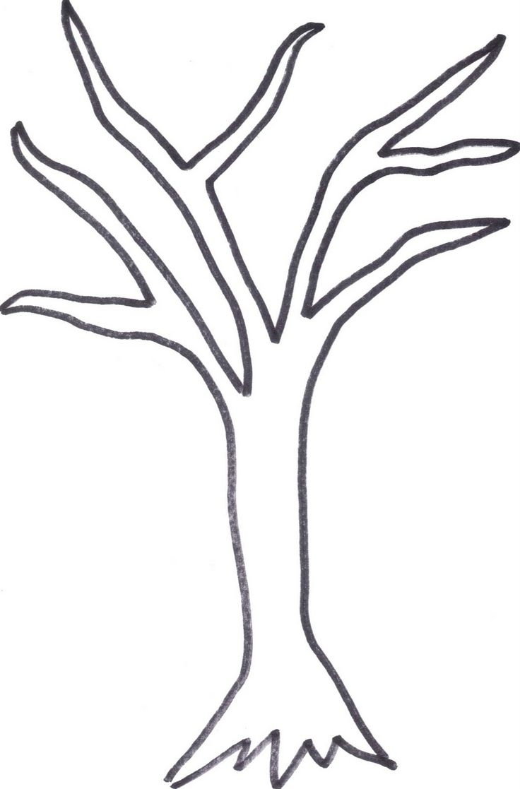 Simple tree trunk outline clipart