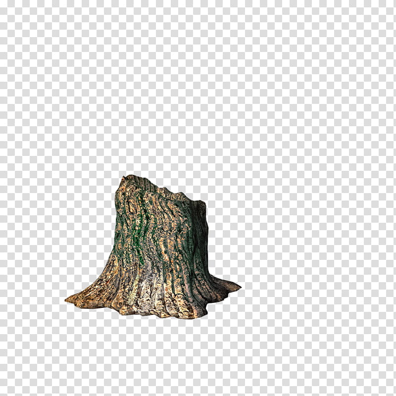 Tree stump, tree trunk transparent background PNG clipart