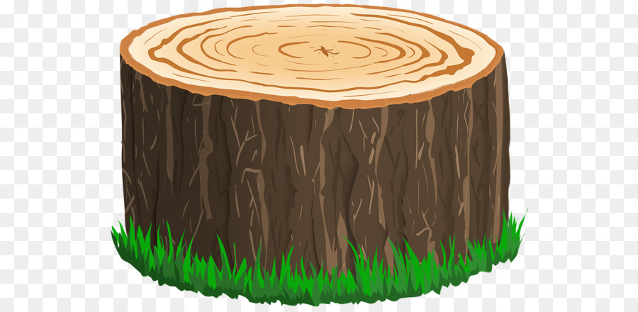 Tree Trunk Drawing png download