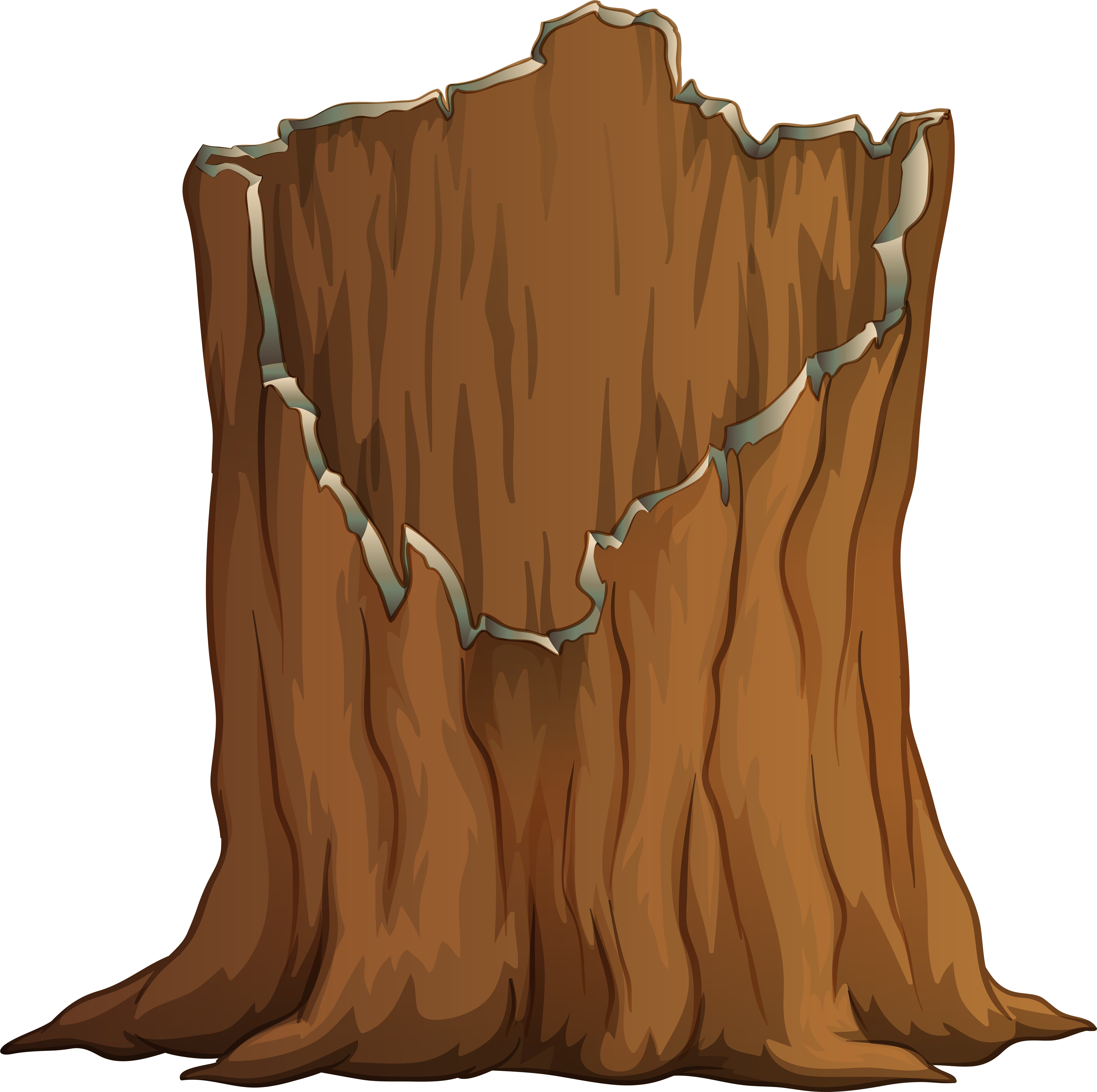 tree trunk clipart transparent