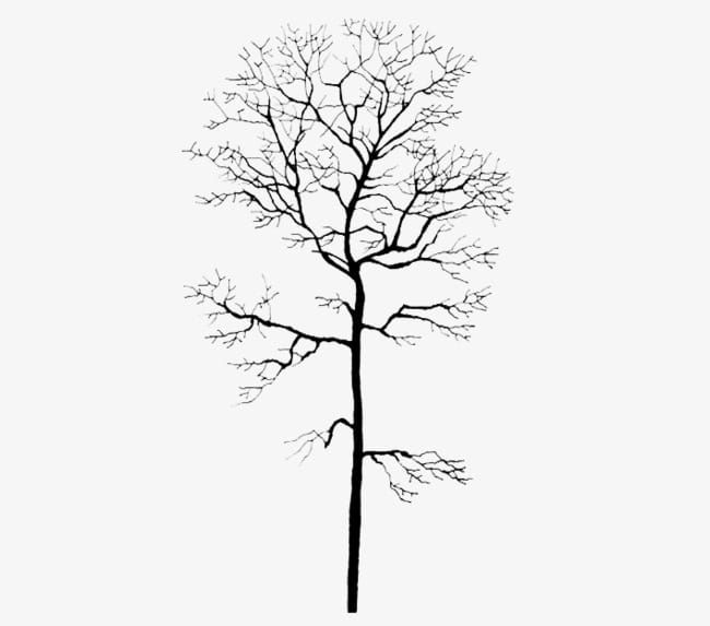 Winter tree trunk PNG clipart