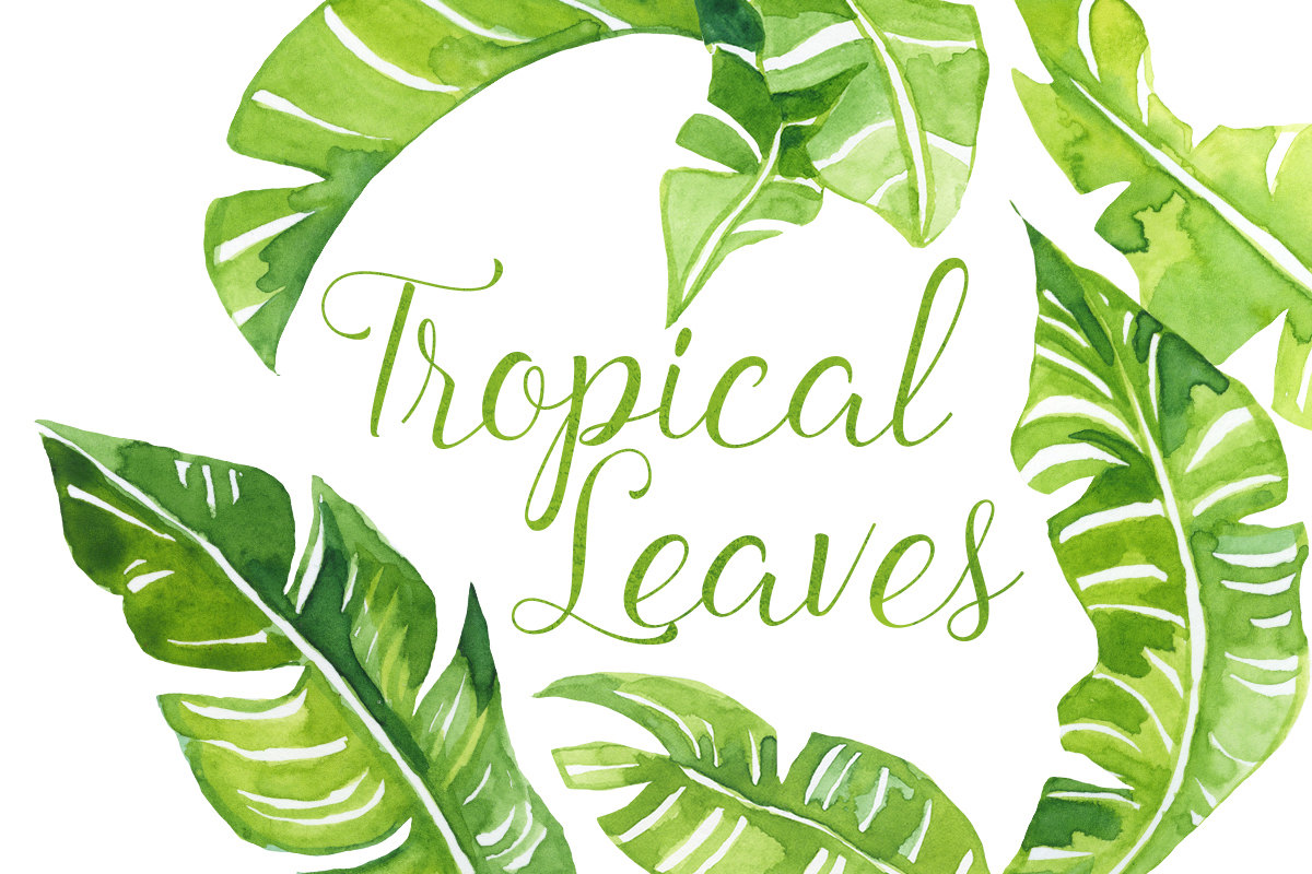 Free tropical leaf.