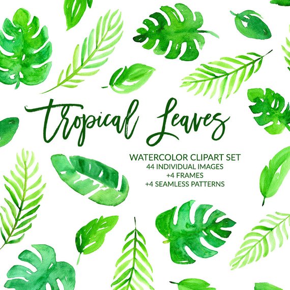 Watercolor Clipart, Tropical Leaves Clipart, Tropical