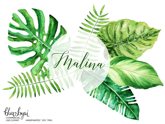 Tropical leaves clipart.