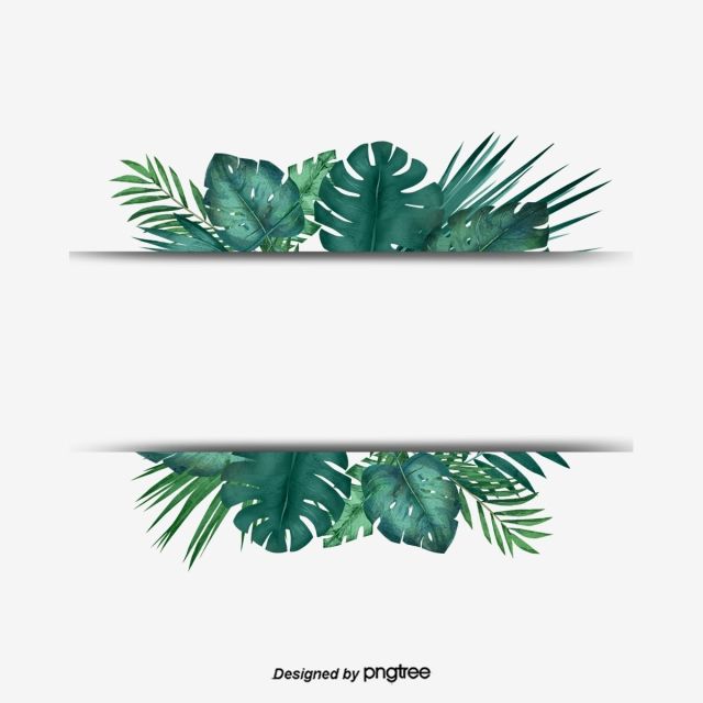 tropical leaf clipart banner