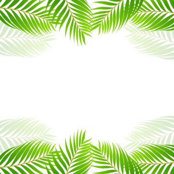 Green Tropical Border Vector, Green, Tropical PNG