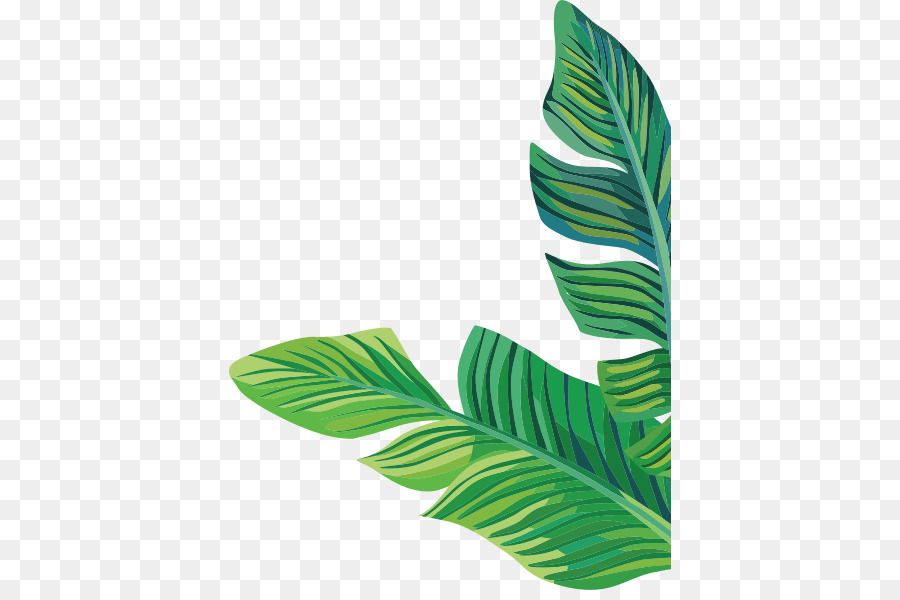 Tropical Leaf Clipart Cartoon and other clipart images on Cliparts pub™