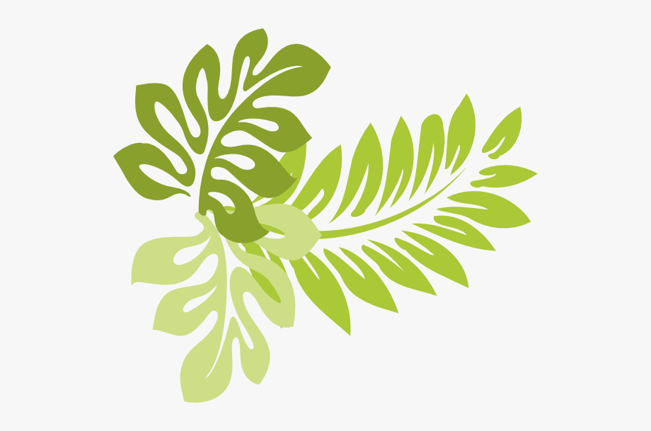 tropical leaf clipart cartoon