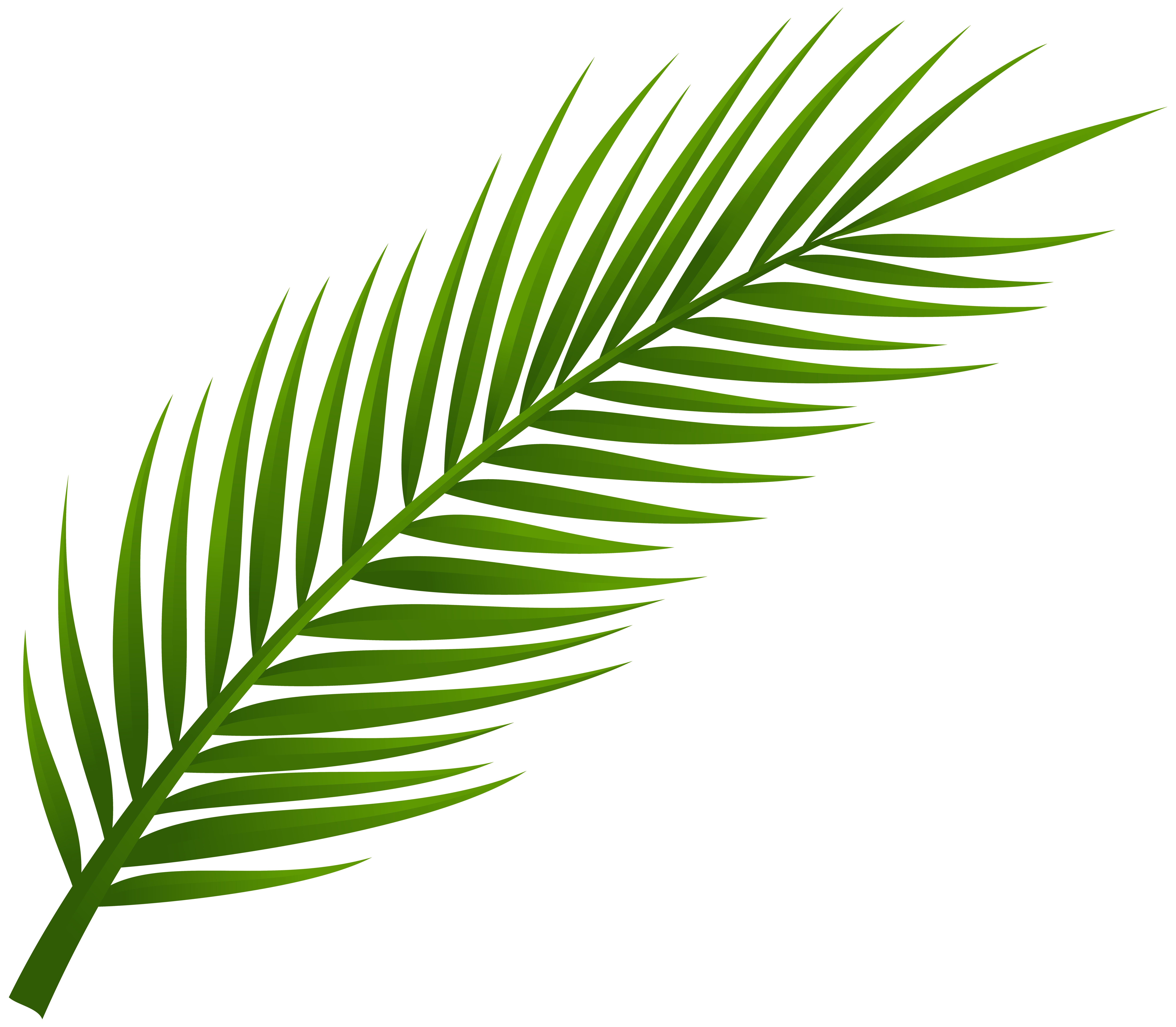 Tropical Leaves Clipart