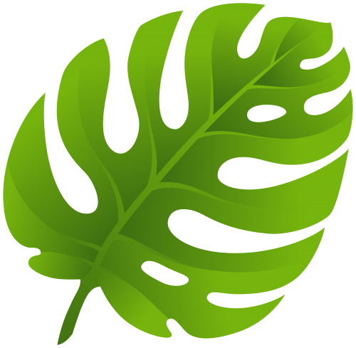 tropical leaf clipart cute