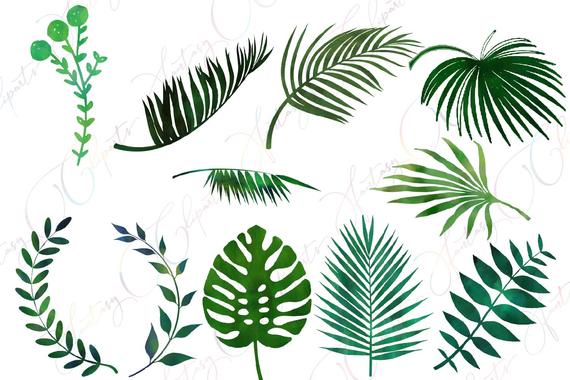 Watercolor greenery, leaves clipart, tropical summer, palm