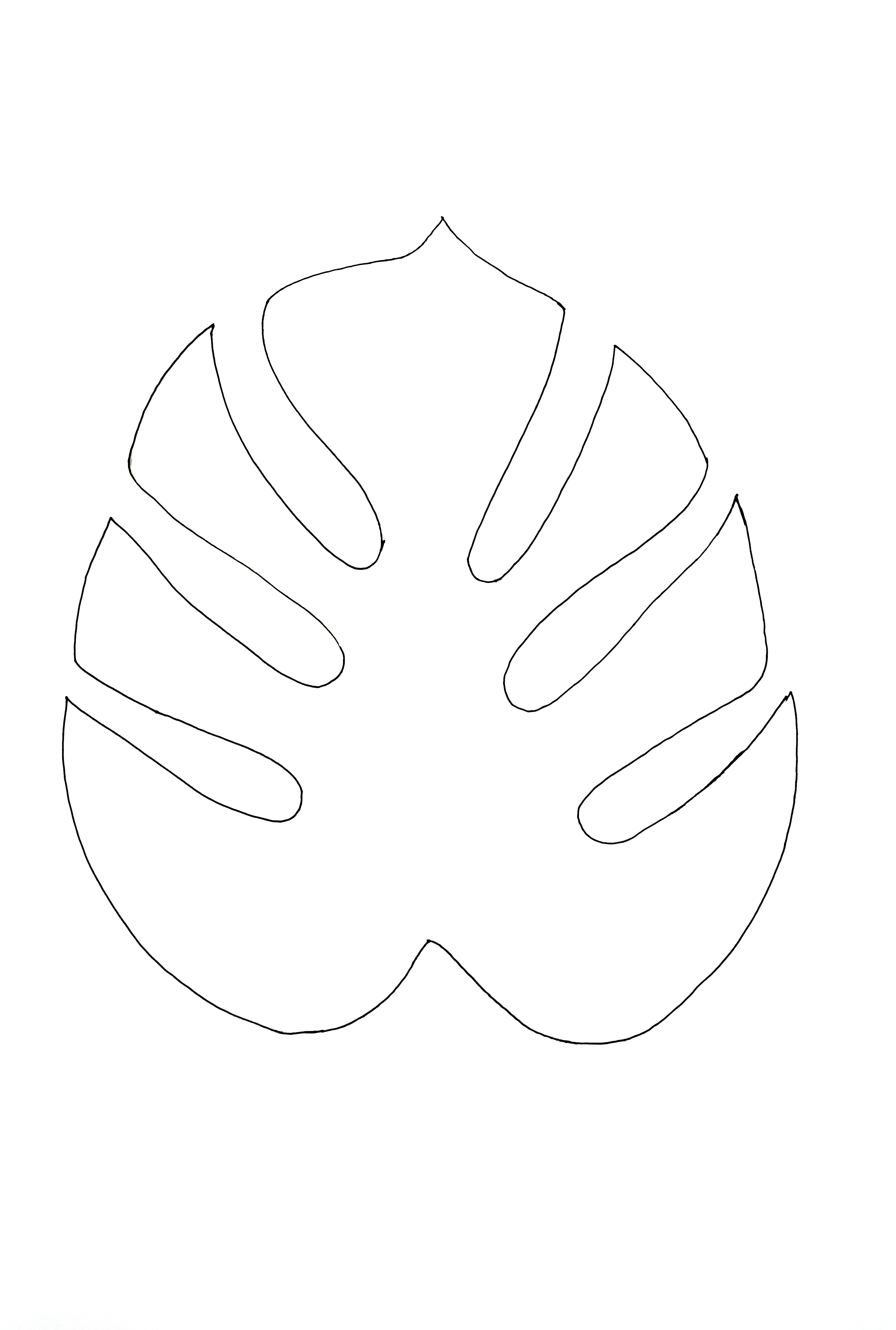 Leaf outline clipartpost.