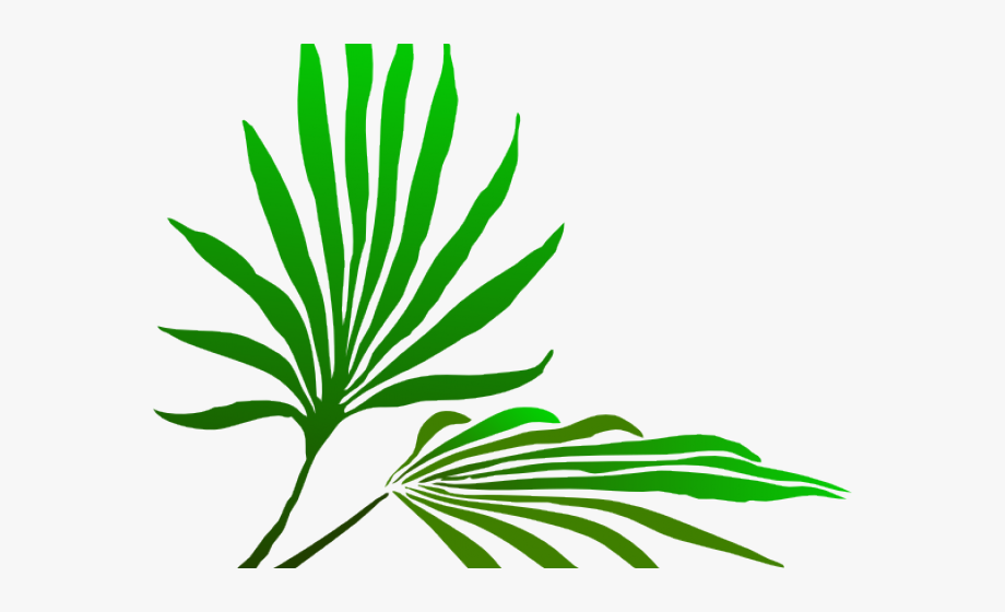 Palm leaf clipart.