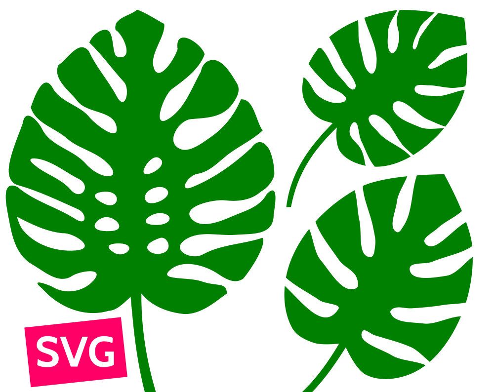 Cuttable and printable Monstera leaf SVG file