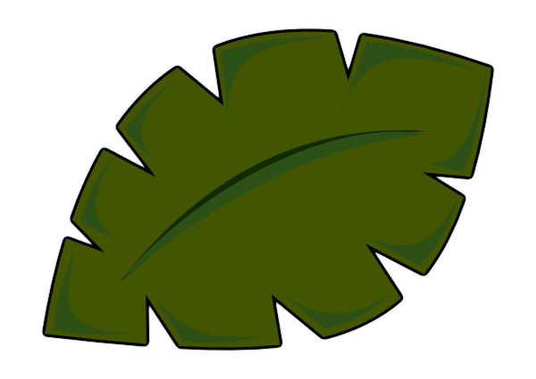 Palm tree leaf.