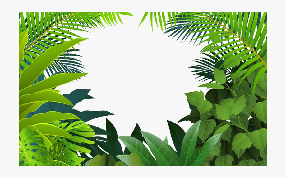 Rainforest Clipart Palm Tree