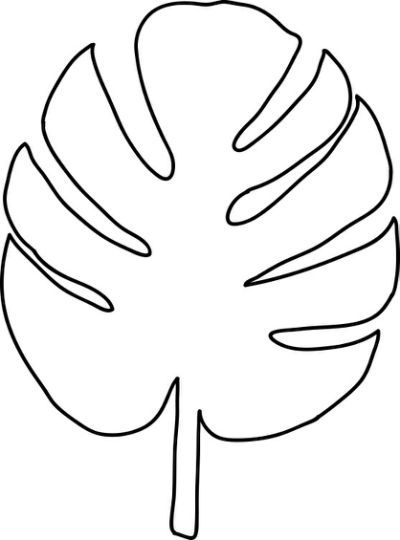 Tropical leaf template.