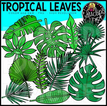 Tropical Leaves Clip Art Set