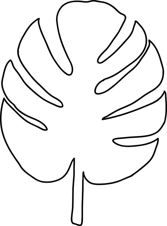 Leaf outline drawing.