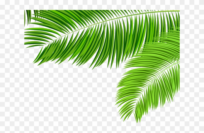 Palm Tree Clipart Leaves