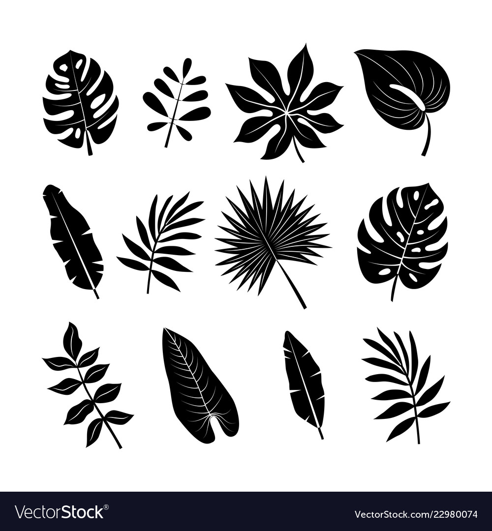 Tropical leaves silhouettes.