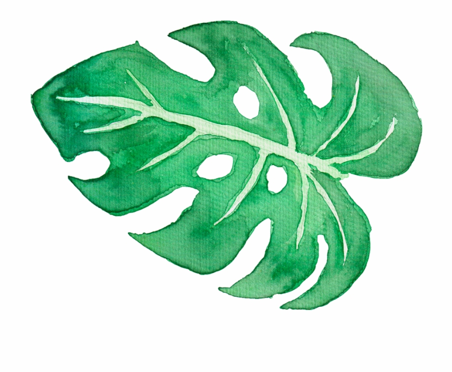 Tropical leaves watercolour.