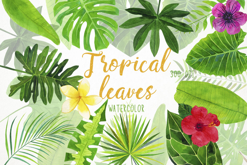 Watercolor tropical leaves.