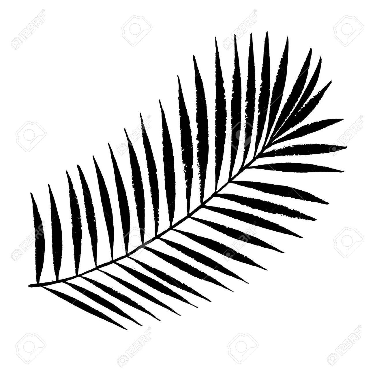 Palm leaf clipart black and white