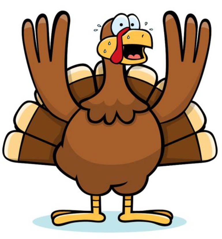 Free Animated Turkey Pictures, Download Free Clip Art, Free