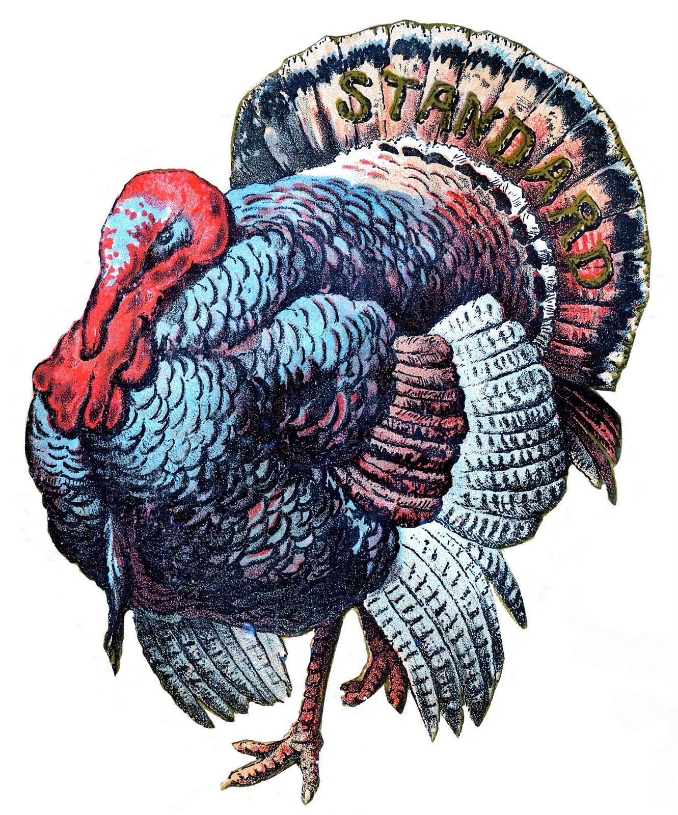 Free Big Turkey Cliparts, Download Free Clip Art, Free Clip