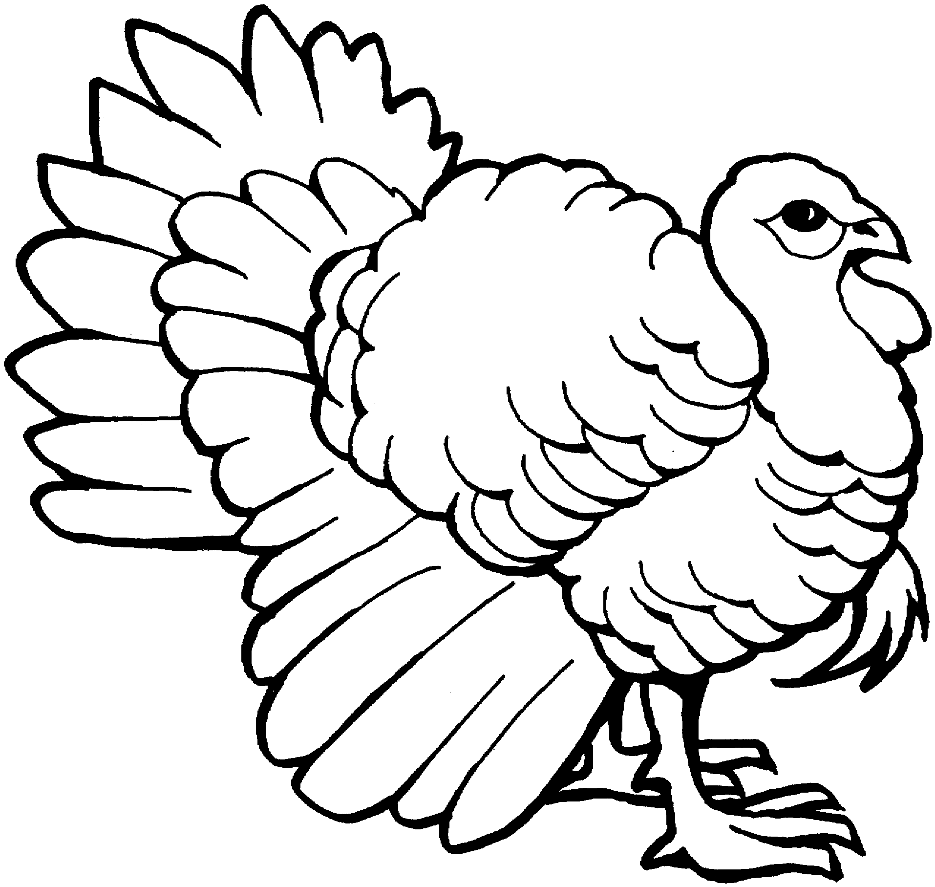 Turkey black and white turkey clipart outline clipartfox