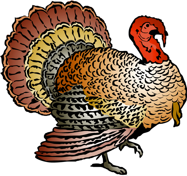 Colorful Turkey Clipart